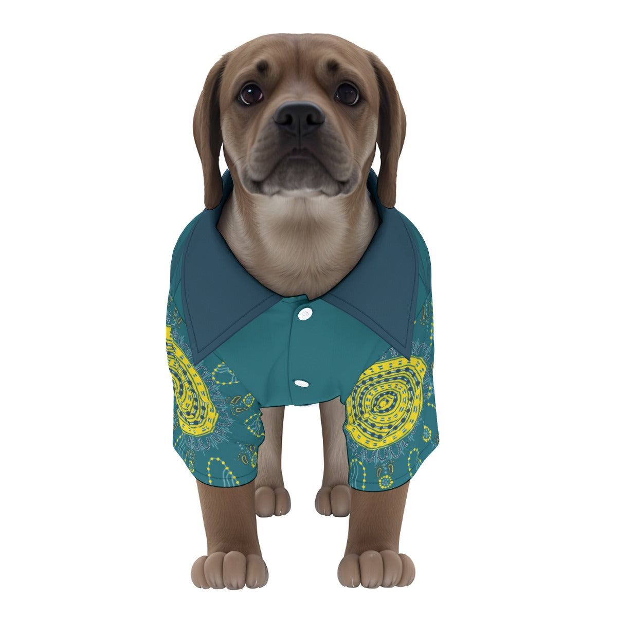 Raygun Dog Breakdance shirt outfit